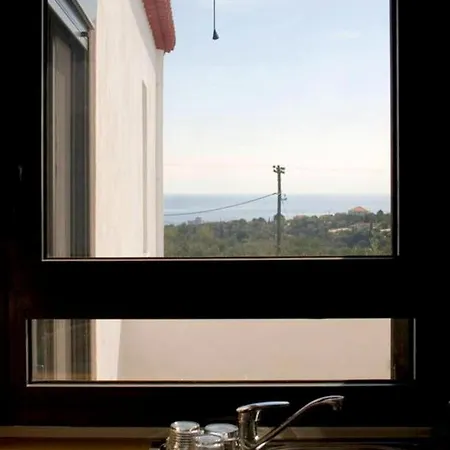 Liofito Finikounta